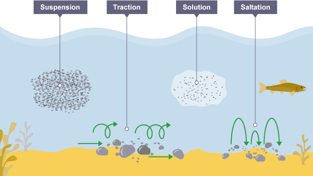 <p><strong>Traction</strong> - <strong>large</strong> particles like boulders are <strong>pushed</strong> along the <strong>sea bed</strong> by the force of water</p><p><strong>Suspension</strong> - <strong>small</strong> particles like silt and clay are <strong>carried</strong> along in the water</p><p><strong>Saltation</strong> - <strong>pebble</strong> sized particles are <strong>bounced</strong> along the sea bed by the force of water</p><p><strong>Solution</strong> - <strong>soluble</strong> materials <strong>dissolve</strong> in the water and are carried along</p>