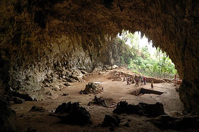 <p>Caves on Flores Island, Indonesia, where the specimens were found in 2004.&nbsp;</p><p>Very mysterious species, they stood 3 feet tall, with a brain much smaller (about the size of a chimpanzee). Initially thought this species suffered from a disease causing their dawrfism and small brain, but this proved to be incorrect. Despite their brain size, they could make fire and had even more sophisticated tools than the other homo species, they also had sophisticated culture, all of which puzzles anthropologists.&nbsp;</p>