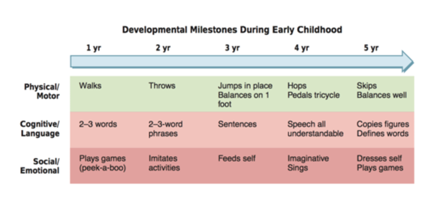 <p>Ans: B</p><p>Chapter: 18</p><p>Page and Header: 797, Assessing Young and School-Aged Children</p><p>Feedback: These milestones are consistent with a physical, cognitive/language, and social and emotional developmental age of 3 years.</p>