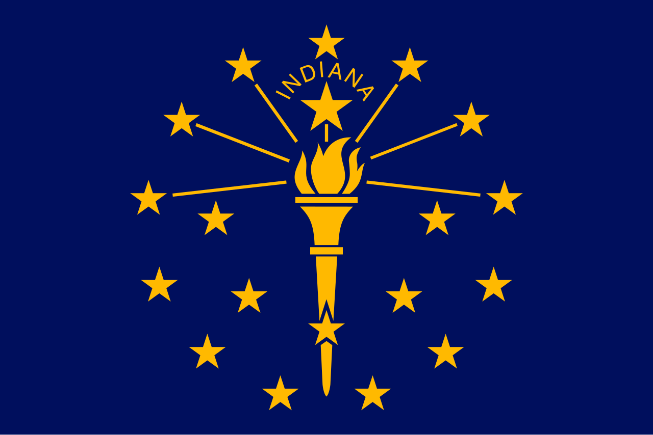 <p>19 Stars and a torch on a blue background</p>