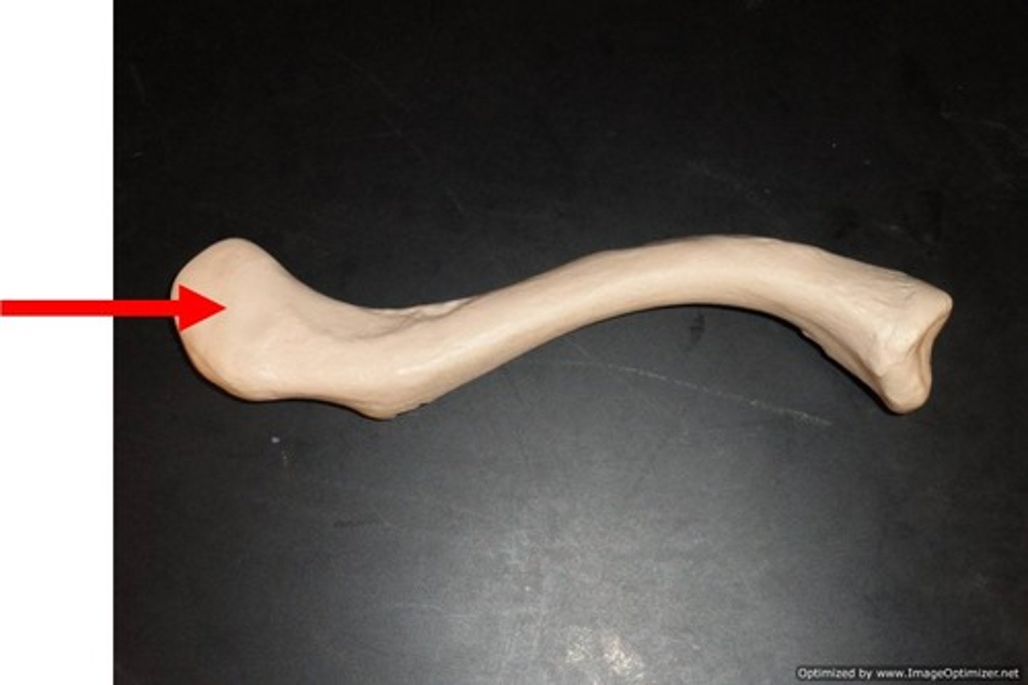 <p>Name the structure</p>