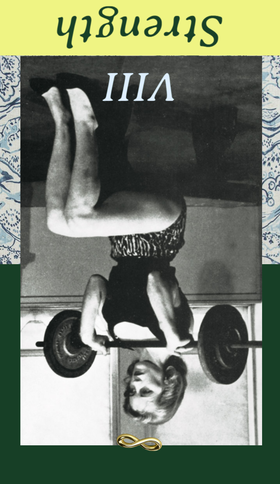 <p>Strength Reversed</p>