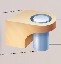 <p>Name the <span>synovial</span> joint</p>