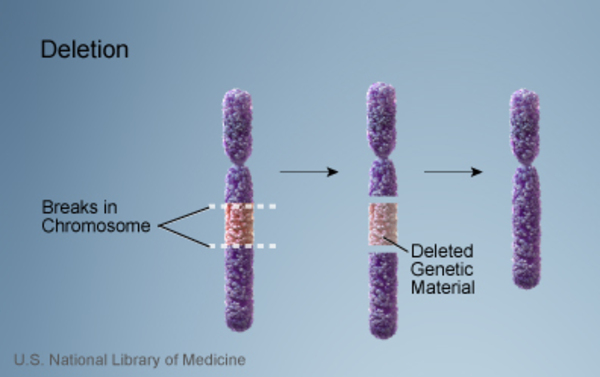 <p>missing region in chromosome…only tolerated when small…Ex. Cri-du-chat syndrome</p>