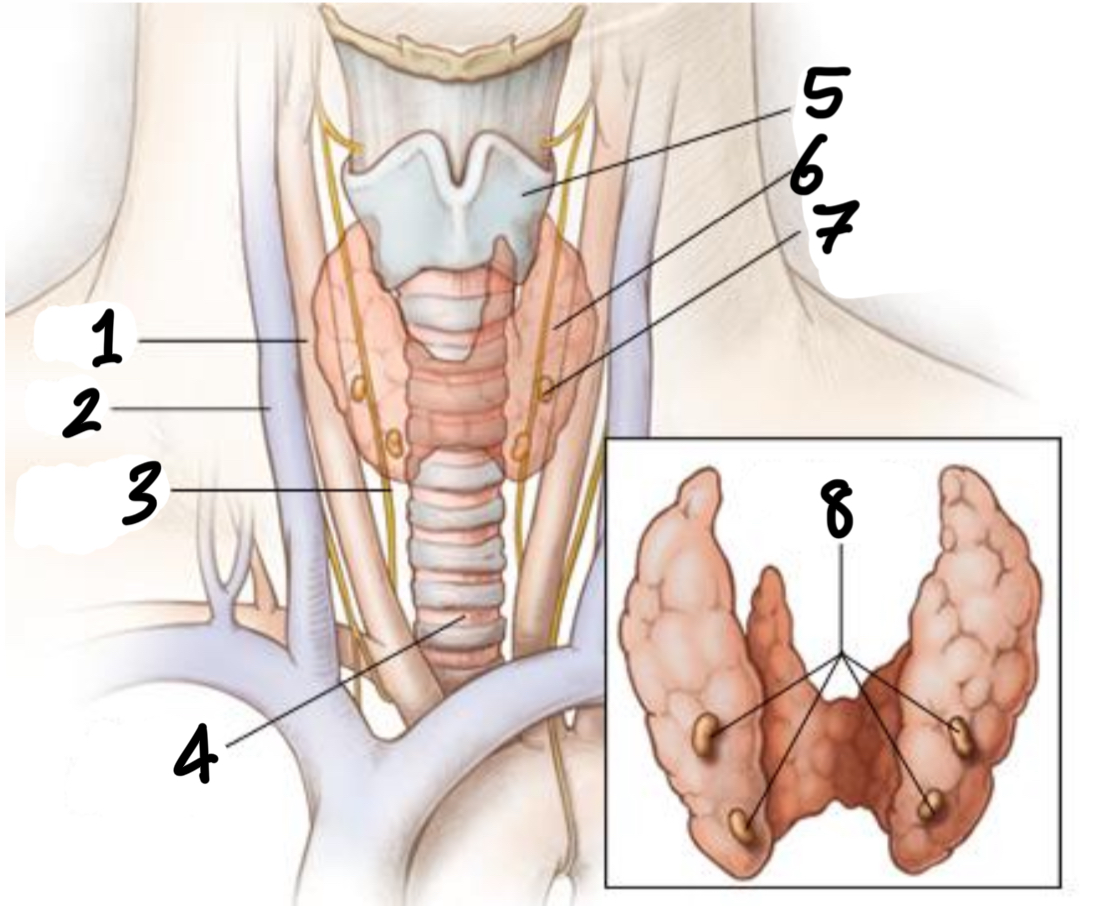 <p>1</p>