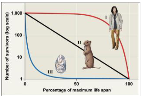 <p>Type I: Low mortality early in life</p><p>Type II: Sontant mortality</p><p>Type III: High mortality early in life</p>