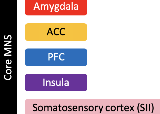 <p>connections to the core MNS are sometimes termed the ‘extended MNS’</p>