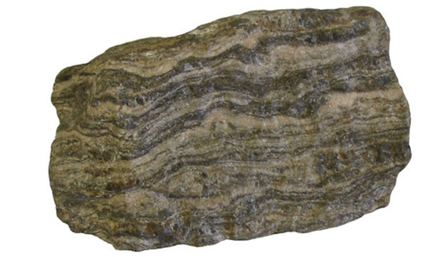 <p>Term used to describe metamorphic rocks that have grains arranged in parallel layers or bands.</p>