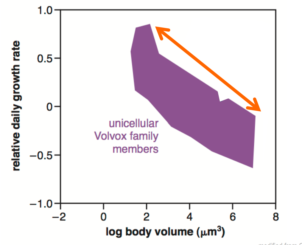 <p>What does this graph prove </p>
