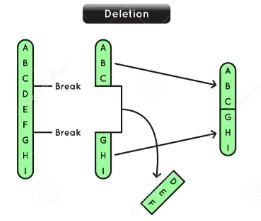 <p>a portion of a chromosome is lost or removed</p>