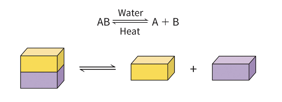 <ul><li><p>products can revert to original reactants</p></li><li><p>can proceed in either direction</p></li></ul>
