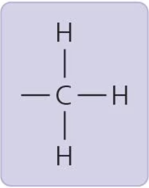 <p>affects the expression of genes when bonded to DNA or proteins that bind to DNA; affects the shape and function of sex hormones</p>