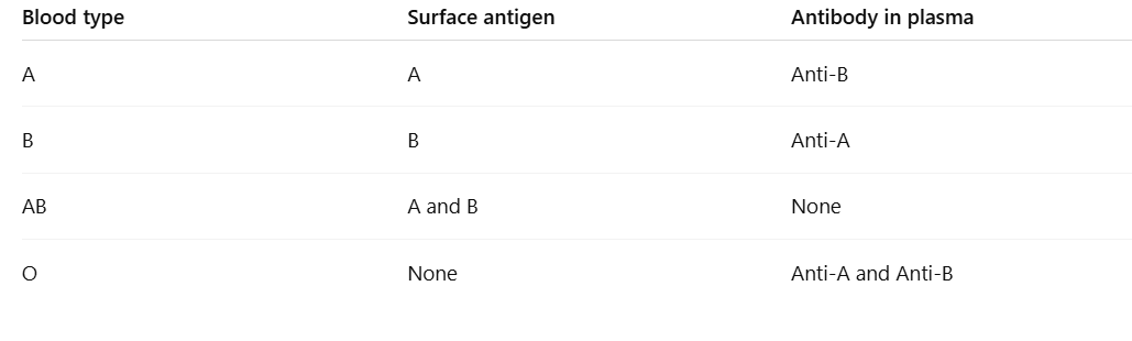 <ol><li><p>Most abundant blood type in the human population: <strong>O+</strong></p></li><li><p>Least abundant blood type in the human population: <strong>AB−</strong></p></li><li><p>Could you give type A blood to a person with type B blood? <strong>No</strong></p></li></ol><ul><li><p><strong>Why:</strong> The recipient’s plasma contains <strong>anti-A antibodies</strong>, which would attack the A antigens on the donated blood, causing a <strong>transfusion reaction</strong>.</p></li></ul><p></p>