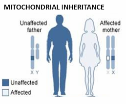 <p>How will you counsel the following parents on the probability of producing abnormalities in their children?</p>