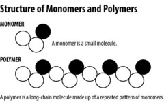 <p>A molecule of any compound that can react with other molecules of the same or different compound to form a polymer. Each biological macromolecule has characteristic monomers.</p>