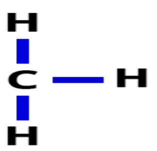 <ul><li><p>Chemical formula: CH<sub>3</sub></p></li><li><p>Nonpolar</p></li><li><p>Used by cells to alter expression rates of certain genes</p></li></ul><p></p>