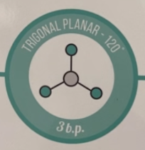 <p><span>3 bonds</span><br><span>0 lone pairs</span><br><span>120°</span></p>