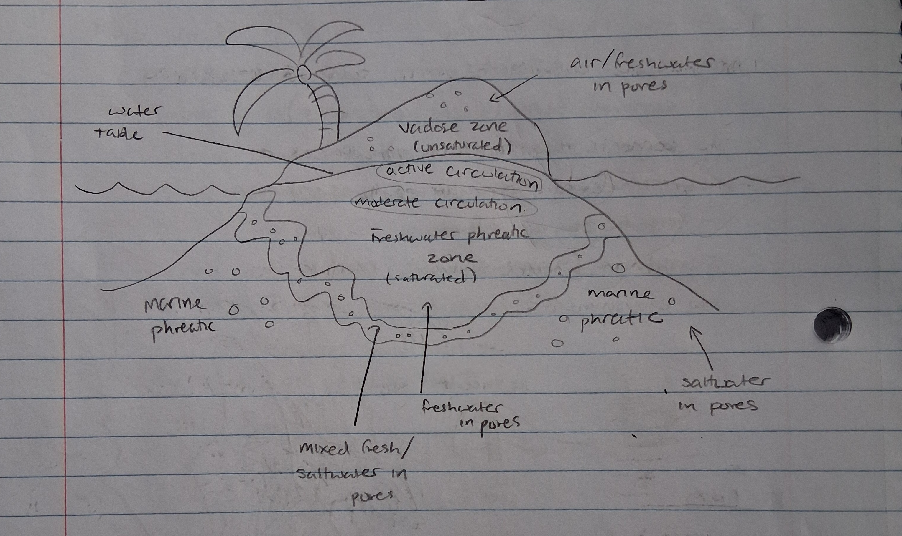<p>unsaturated (air filled) environment located between the surface soil and the <span><span>saturated zone</span></span></p>