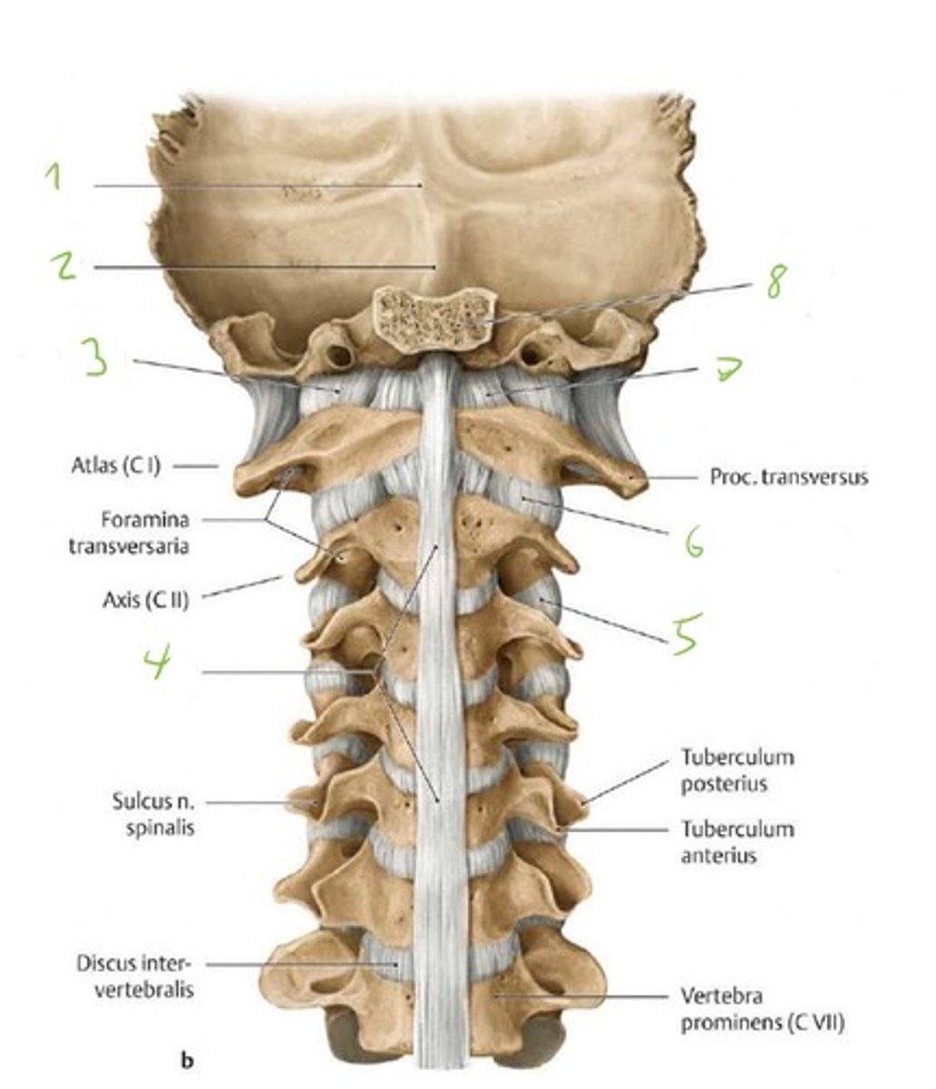 <p>6</p>