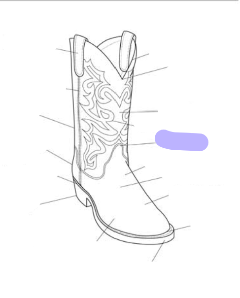 <p>What part of the boot is this? (labeled in purple)</p>