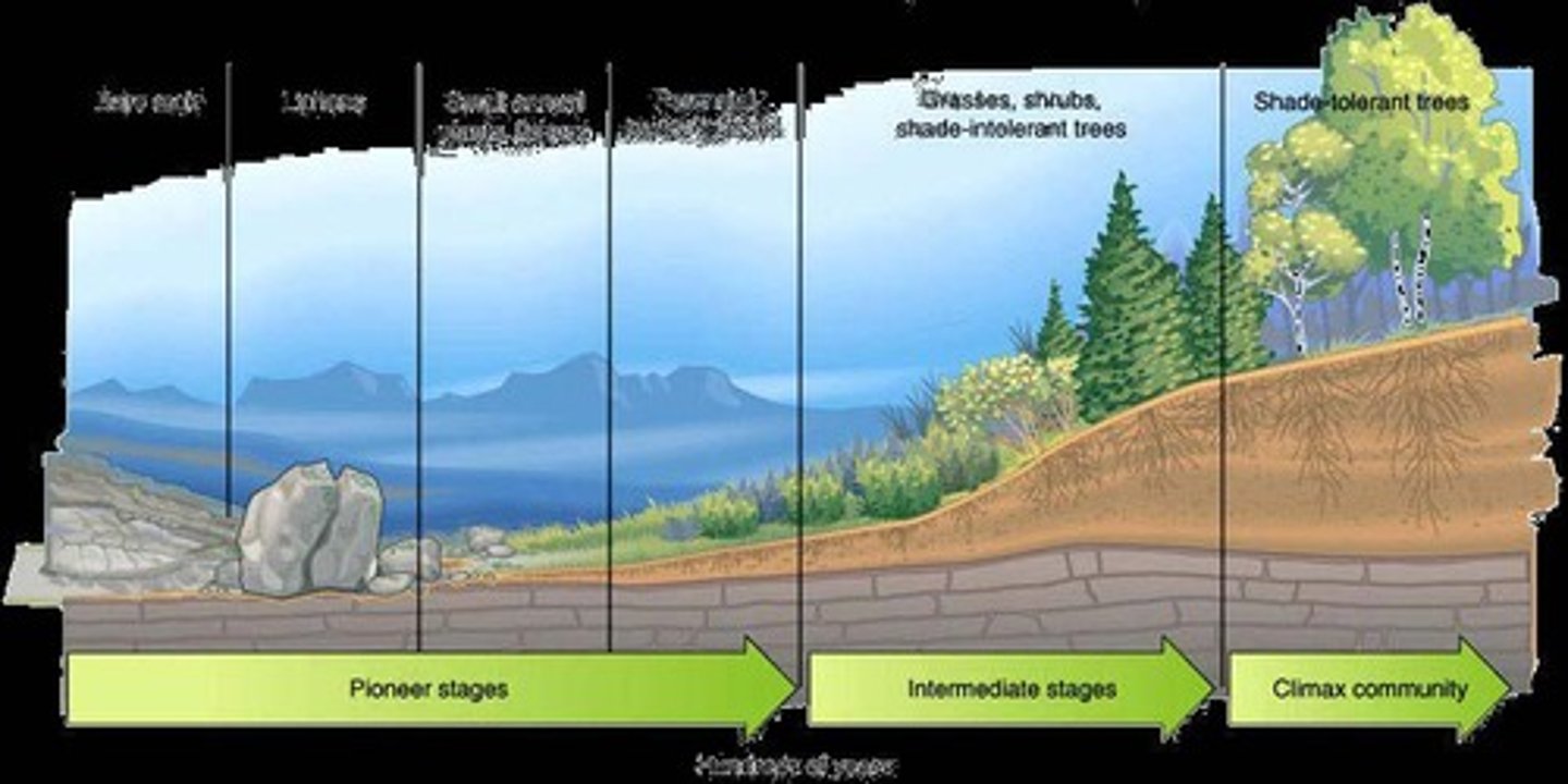 <p>Impact of environmental factors on human health.</p>