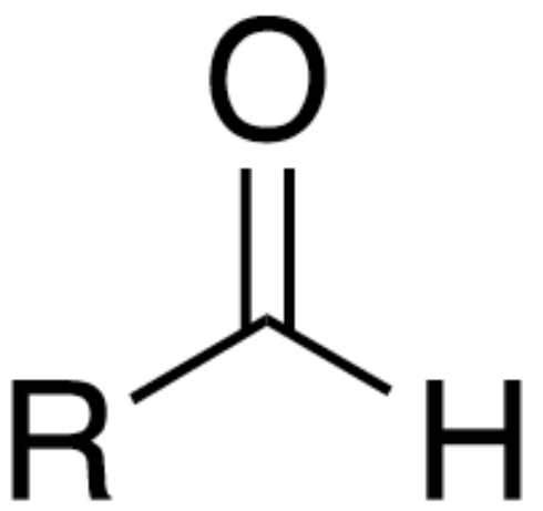 <p><span>This is a/an </span><span style="color: mediumseagreen"><strong>[... group]</strong></span></p>