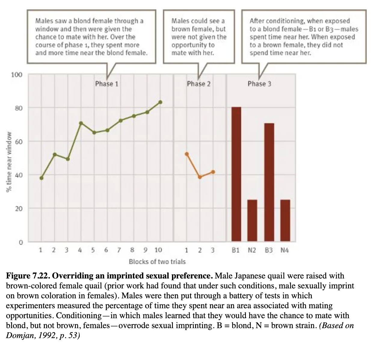 <p>-Male Japanese quail were raised with brown-coloured female quail so they had sexually imprinted on brown colouration in females</p><p>-Hypothesis: classical conditioning at the adult stage might override the effects of sexual imprinting as a juvenile</p><p>-Methods: males were shown blond females and brown females but only given the chance to mate with blond females</p><p>-Results:</p><ul><li><p>After conditioning, males spent time near a blond female when exposed to her. But when exposed to a brown female, they didn’t spend time near her.</p></li><li><p>Conditioning overrode sexual imprinting</p></li></ul><p></p>