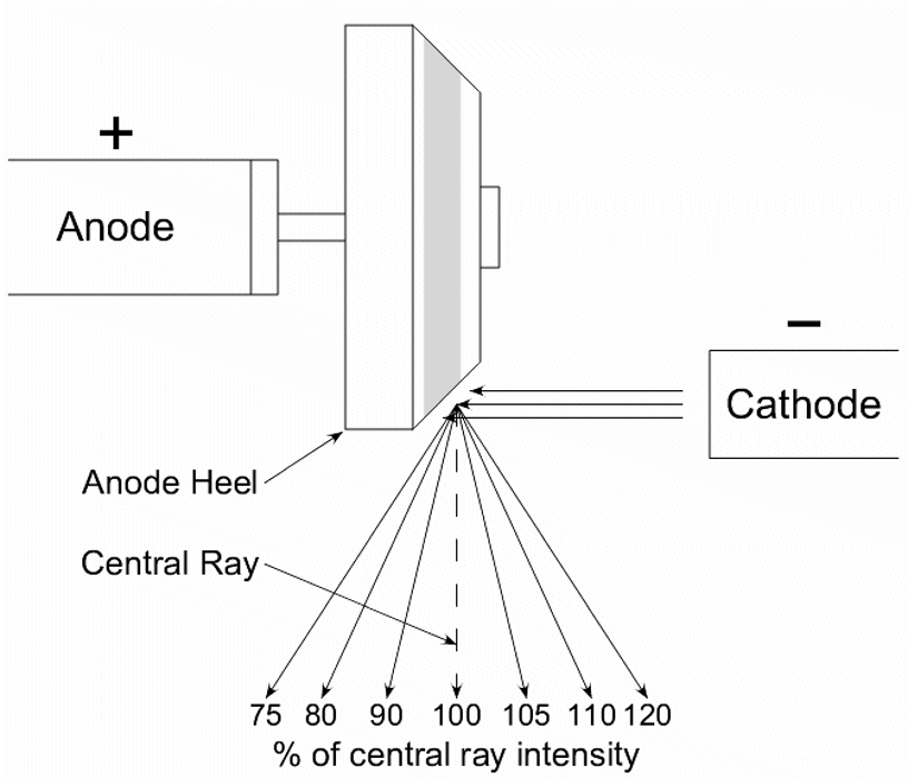 <p><span style="font-family: &quot;Bell MT&quot;;"><span>Anode Heel Effect </span></span></p>