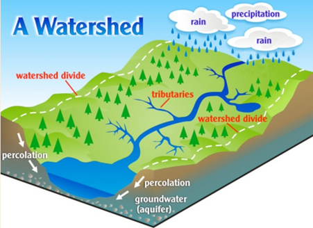 <p>Water that moves horizontally across the surface of land</p>