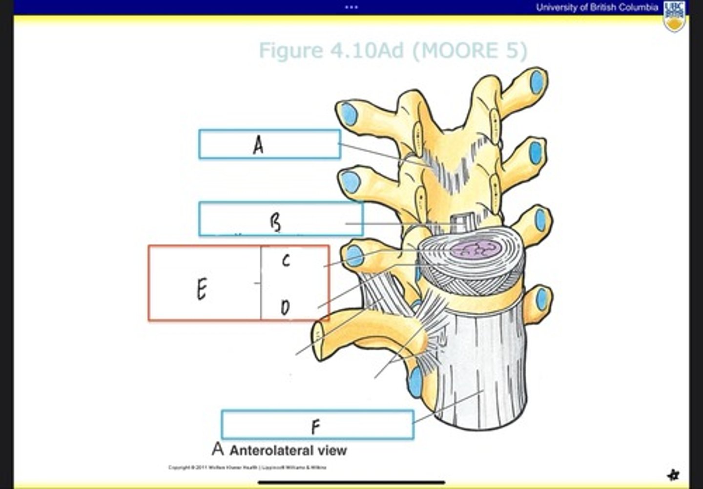 <p>What is E?</p>