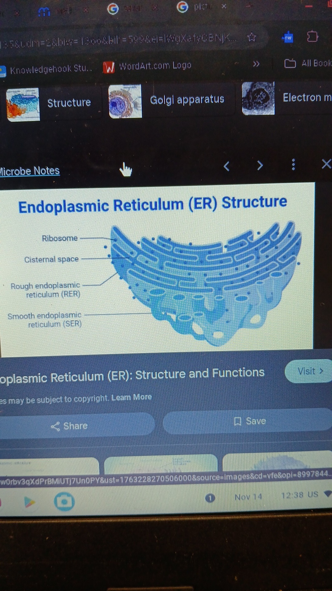 knowt flashcard image