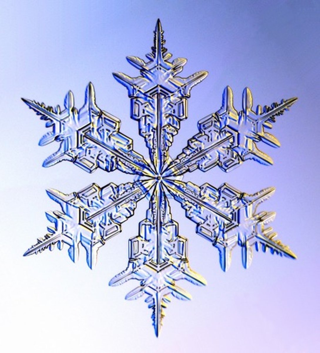 <p>snowflake</p>