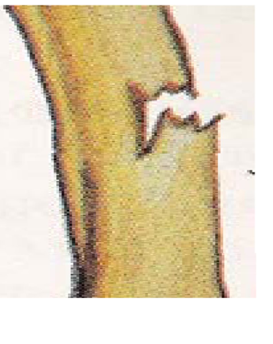 <p>Physical Change</p>