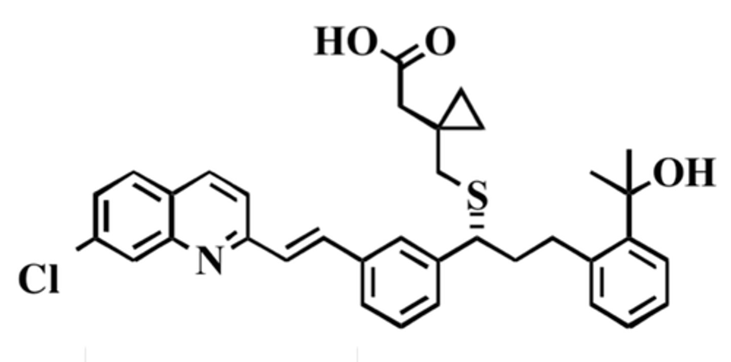 <p><strong>Brand:</strong> Singulair</p><p><strong>Class:</strong> Leukotriene Receptor Antagonist</p><p><strong>MOA:</strong> Antagonizes the cysteinyl leukotriene receptor which is involved in allergic response. (they are products of arachidonic acid metabolism and are released from various cells (mast cells/eosinophils)</p>