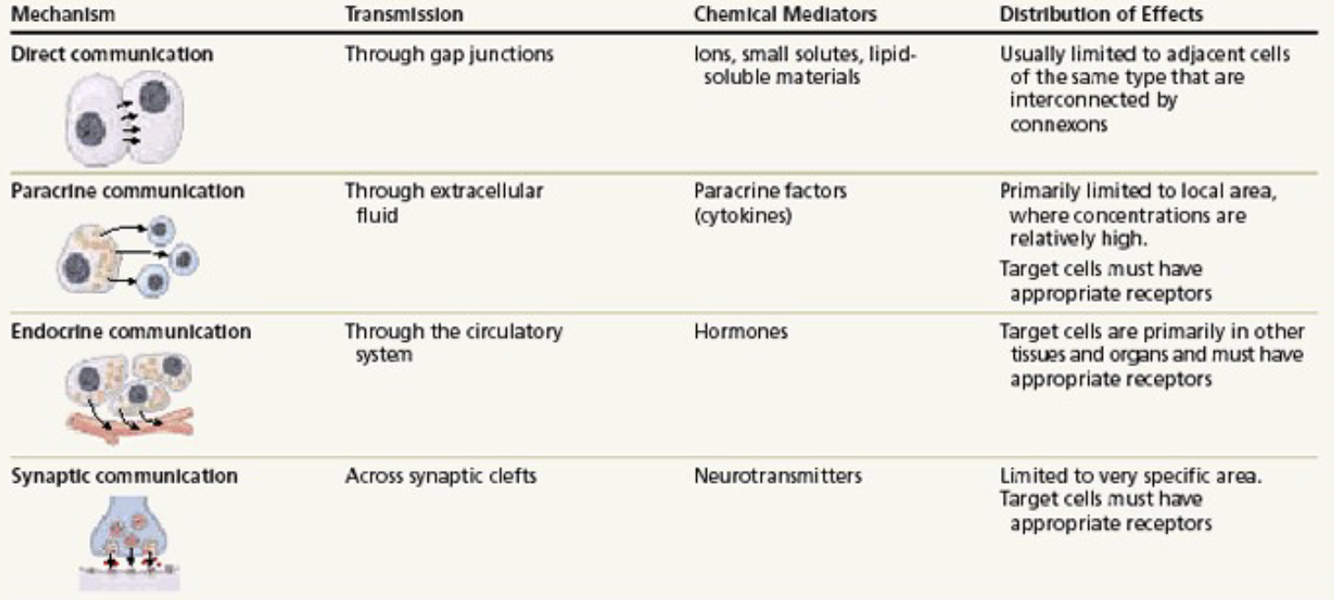 <p>transmission of paracrine communication</p>