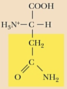 <p>Name (Abbr.) - polarity, a/n/b</p>