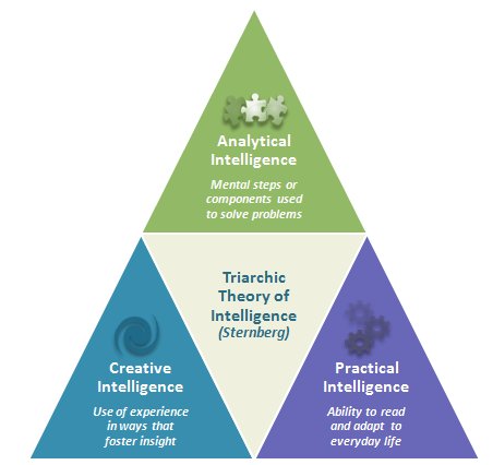 <p>Triarchic Theory</p>