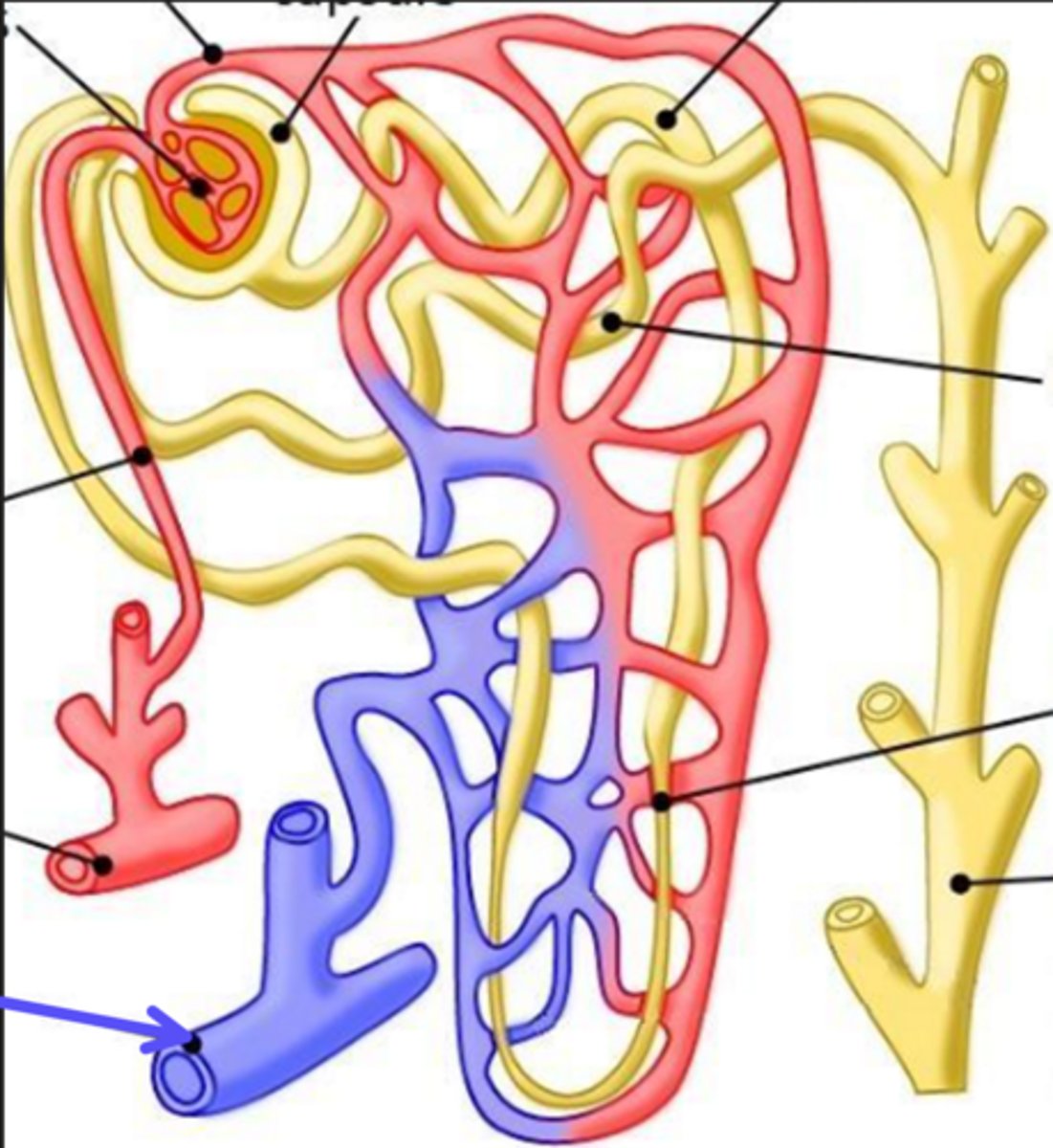 <p>What is the arrow pointing at?</p>