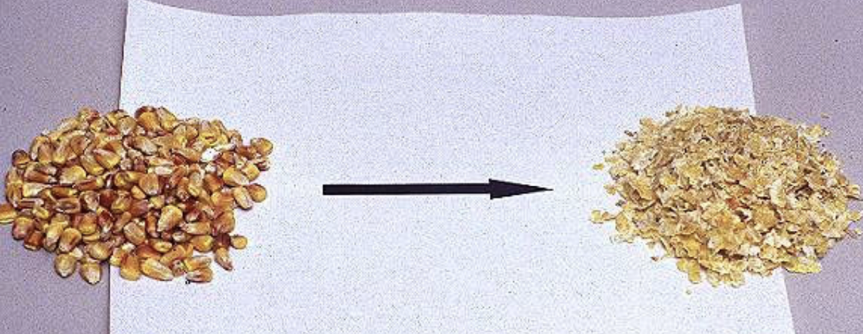 <p>process those grains and other ingredients to create animal feed</p><ul><li><p>increase surface area and dry</p></li></ul><p></p>