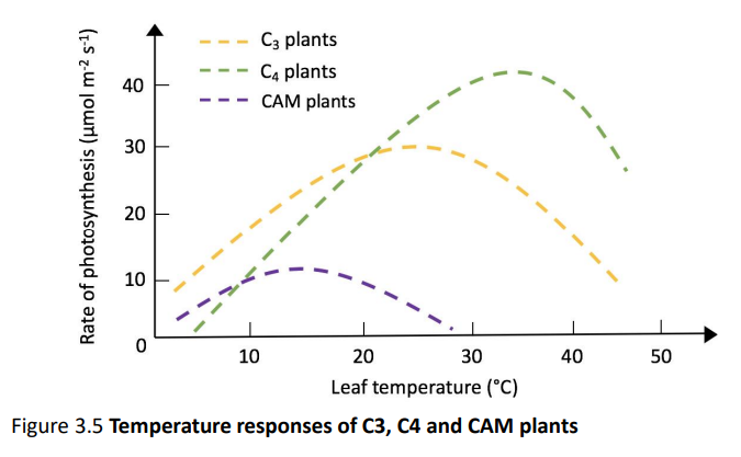 <p>Define and contrast: acclimation and adaptation. What are some different scenarios involving these concepts?<br><br>Broadly compare and contrast temperature responses of C3, C4, and CAm plants:<br><br>Describe the declining global primary productivity in the ocean over the past decade.</p><p></p><p>Explain why ocean primary productivity has not risen evenly around the world</p>