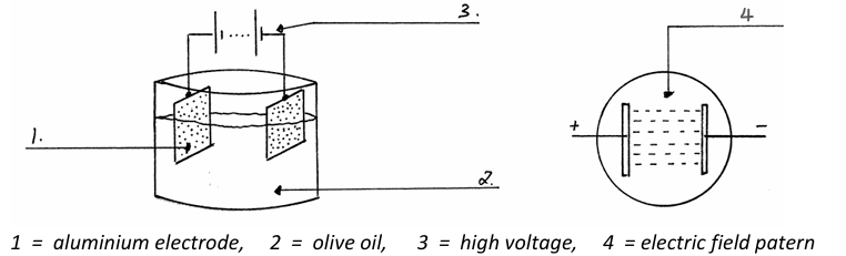 <ul><li><p>Place two aluminium electrodes in a beaker of olive oil. The voltage across the electrodes would be of the order of 2 000 V.</p></li><li><p>Sprinkle semolina grains onto the oil.</p></li><li><p>The grains line up in such a way that they show the electric field pattern.</p></li></ul><p></p>