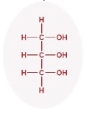 <p>Carbon or lipid?</p>