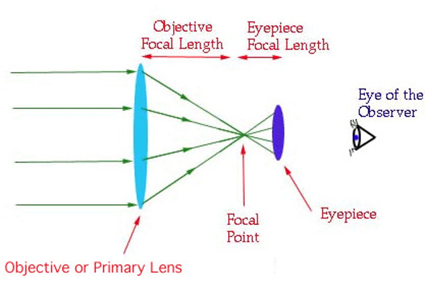 <p>a telescope that uses a converging lens to collect light.</p>