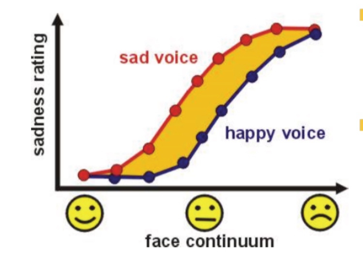 <ul><li><p>Observers asked to rate the sadness of a series of faces with different expressions between happy and sad</p></li><li><p>Sadness ratings follow a psychometric function: from low to high for happy to sad faces</p></li><li><p>Integrating the face display with a sad or happy voice shifts the psychometric curve to higher or lower sadness ratings</p></li><li><p>For neutral: you are forced to say happy or sad. So 50% of time you will say that happy, 50% you will say thats sad.</p></li><li><p>When you hear a sad voice, more likely to say thats a sad face</p></li><li><p>When you hear a happy voice: more likely to say thats a happy voice</p></li></ul><p></p>