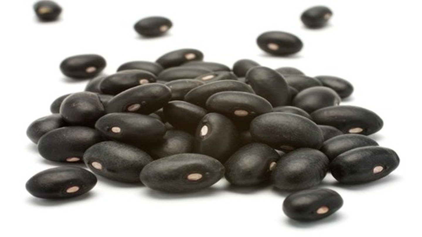 <p>black beans</p>