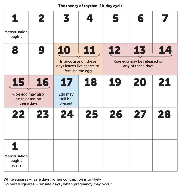 <p><span>When should sexual intercourse be avoided if pregnancy is to be avoided using the rhythm method?</span></p>