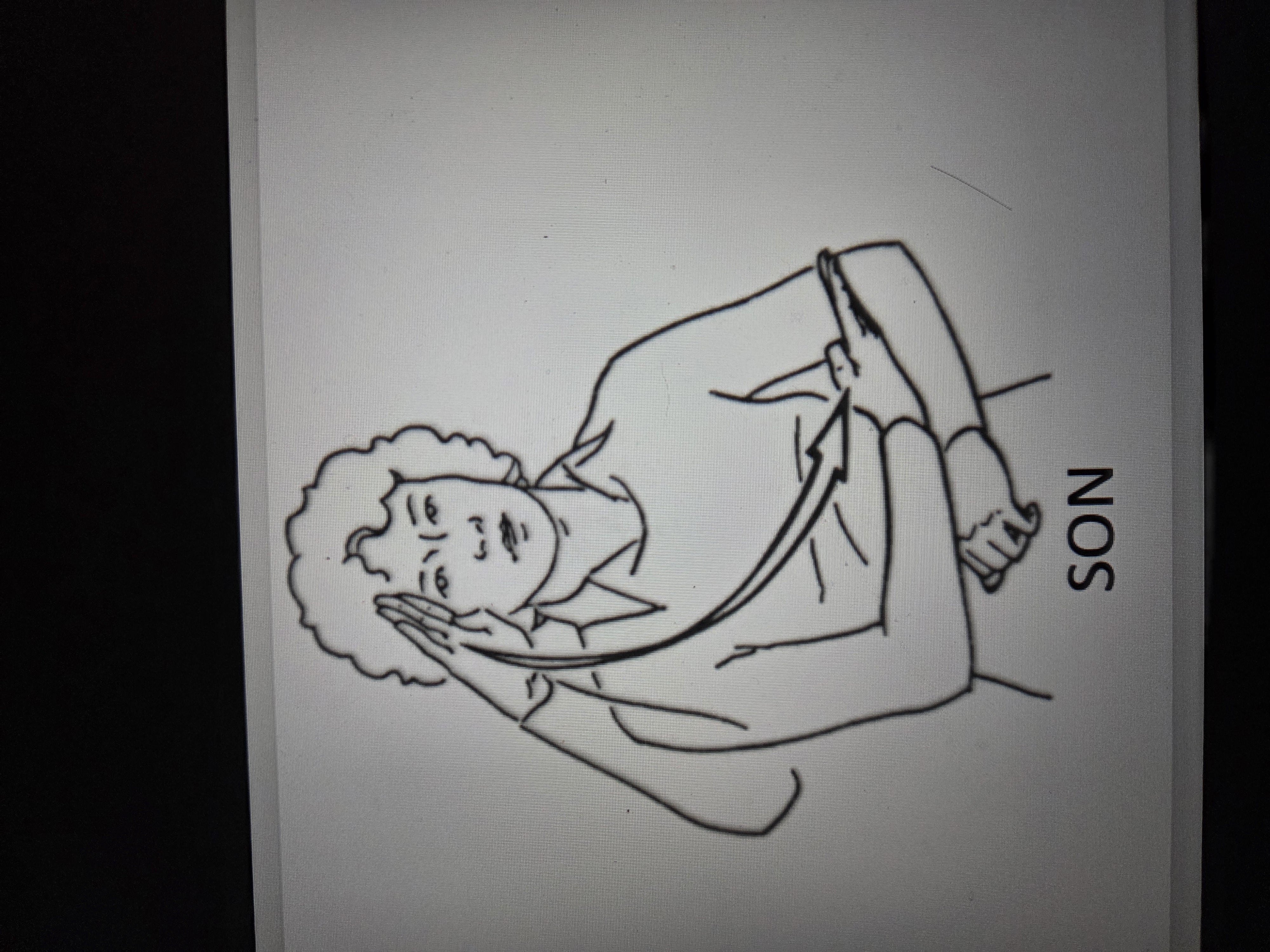 knowt flashcard image