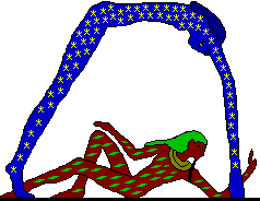 term image