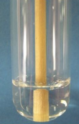 <p>Is this a positive or negative catalase test?</p>