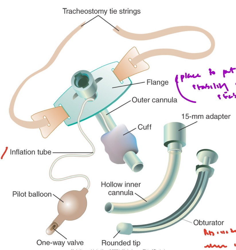 <p>Flange is used to put string stability on to stabilize trach.</p><p>Obturator fits inside trach tube when inner cannula doesn’t fit, so it is used to only help put trach in and is immediately removed. DO NOT THROW AWAY RIGHT AWAY! Keep just in case of extubation.</p>